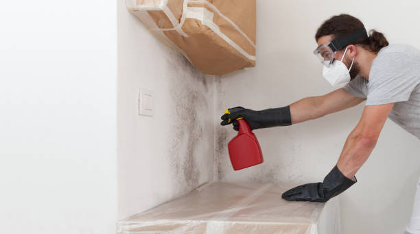 Professional Hvac And Air Duct Mold Remediation technician working in Pompton Plains, NJ